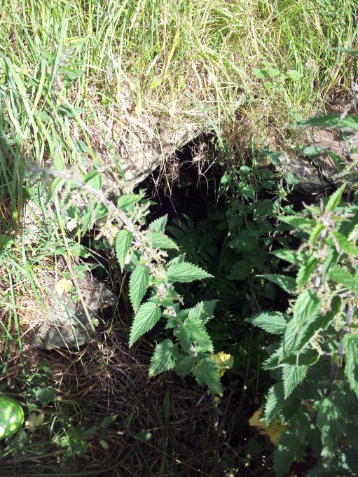 St Aidan's Holy Well