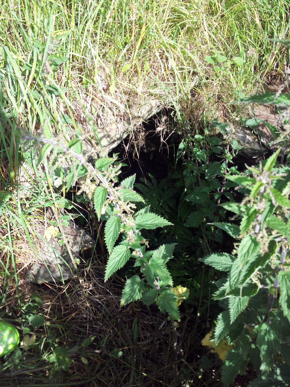 St Aidan's Holy Well