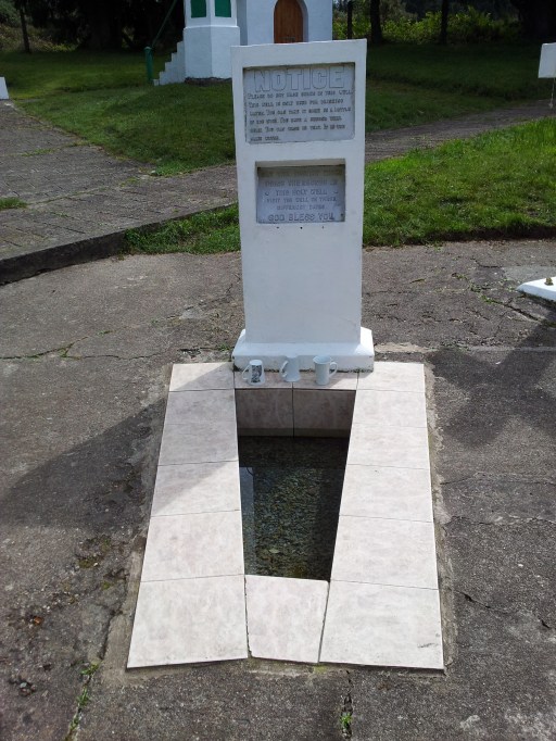 20120806_112535 St Declan's Well, Toor