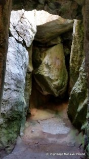 1-Trip wales Galaxy S5 427