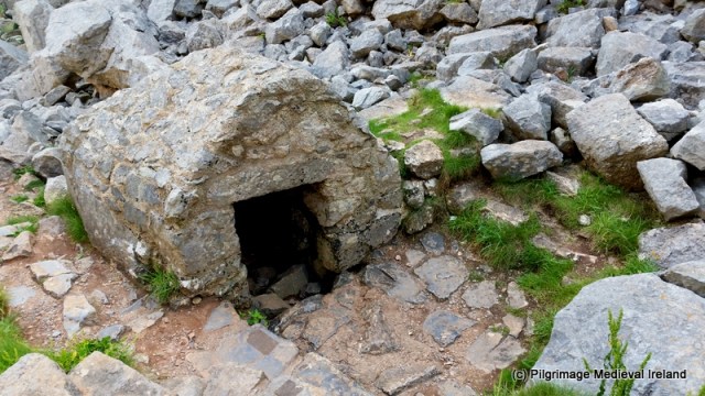 1-Trip wales Galaxy S5 456