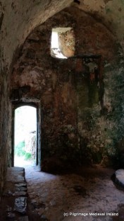 1-Trip wales Galaxy S5 489