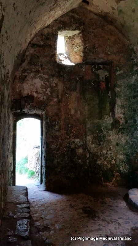 1-Trip wales Galaxy S5 489