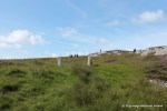 1-IMG_3119