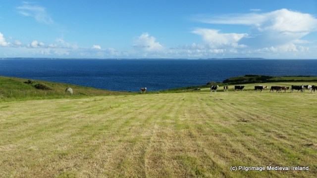 1-Trip wales Galaxy S5 101