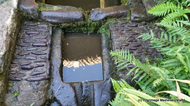 1-Trip wales Galaxy S5 146