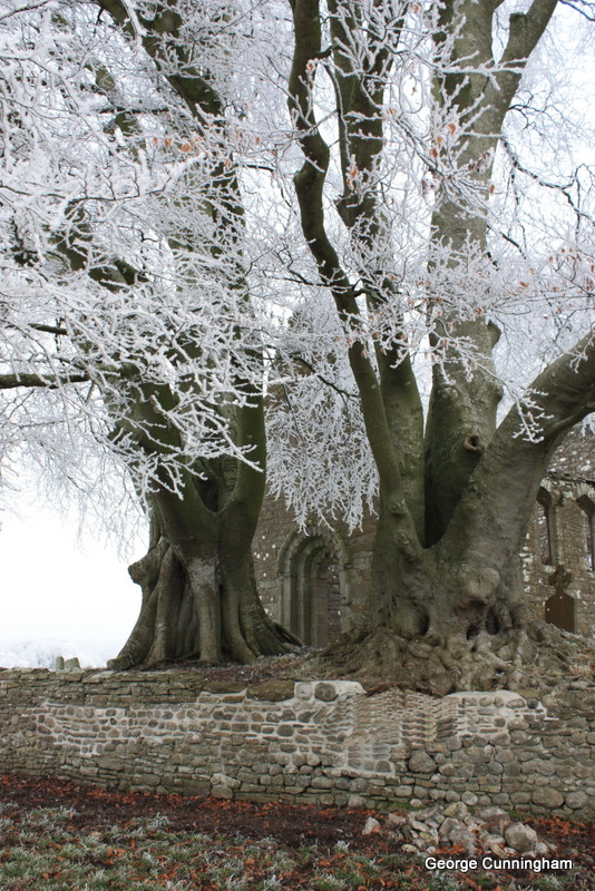 monaincha dec 2010 049 ed 4