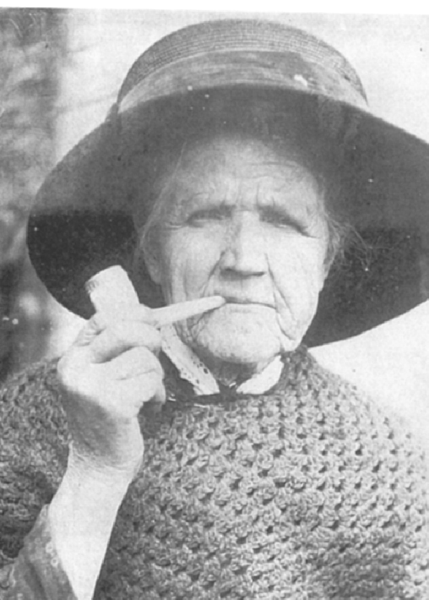 Vegetable gardener for the Belmont house (image http://resources.teachnet.ie/jfarrell/2007/carlow/Oldphotographspurcell/gentry.htm)