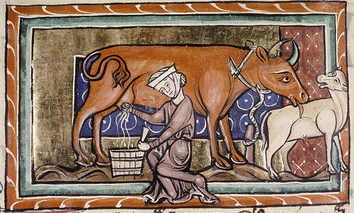 4883212632_eb0ac9501d