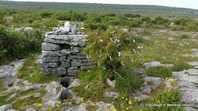 Burren 136