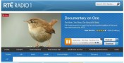wren