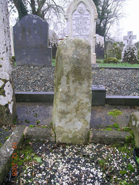 CW009-028021- E face