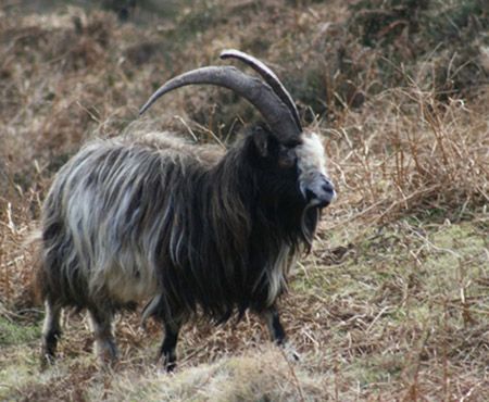 6860e7ab-ff67-4142-b3d6-2e2fadb1c91b