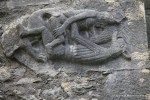 IMG_9005
