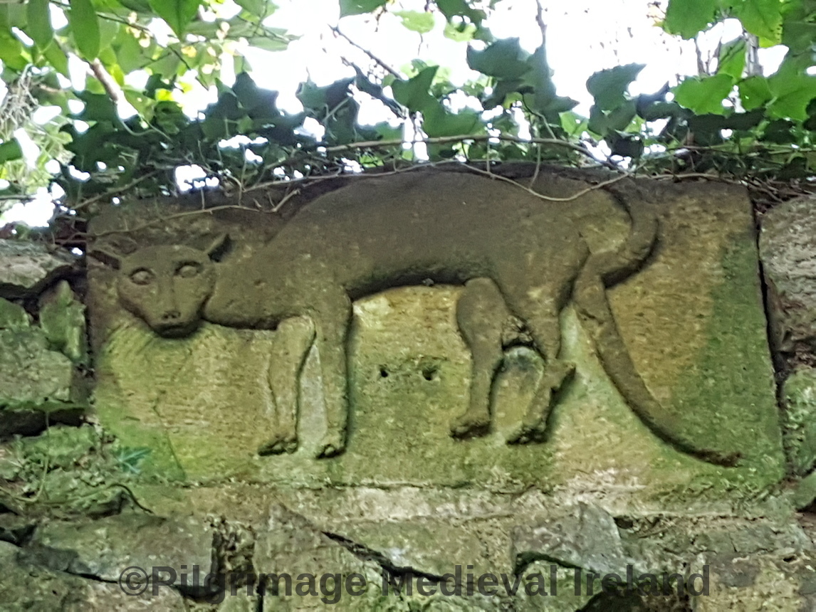 imageedit_6_3288377806