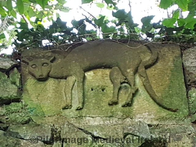 imageedit_6_3288377806